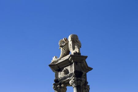 Detail Source of the fish Almeria, Spainの写真素材