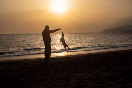 Backlight photography of man and dog playing and jumping, in the beach silhouette during the sunsetの写真素材