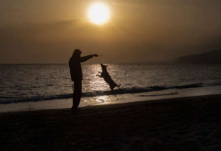 Backlight photography of man and dog playing and jumping, in the beach silhouette during the sunsetの写真素材