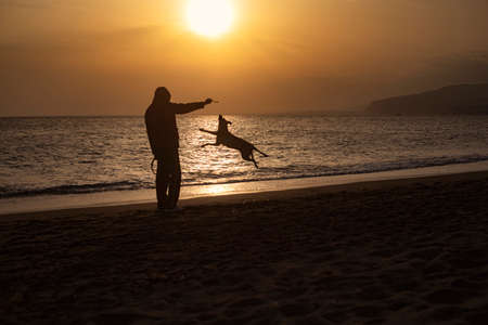Backlight photography of man and dog playing and jumping, in the beach silhouette during the sunsetの写真素材