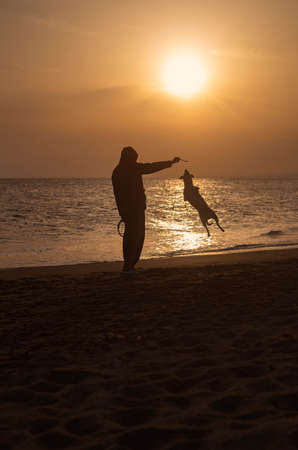 Backlight photography of man and dog playing and jumping, in the beach silhouette during the sunsetの写真素材