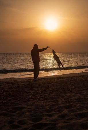 Backlight photography of man and dog playing and jumping, in the beach silhouette during the sunsetの写真素材