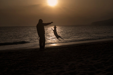 Backlight photography of man and dog playing and jumping, in the beach silhouette during the sunsetの写真素材