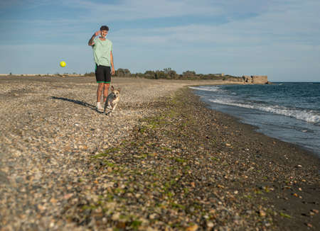 Man playing with his dog and throws the ball to him in the beach, running, training and having funの写真素材