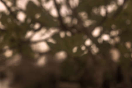 Photography of abstract background with bokeh effectの写真素材