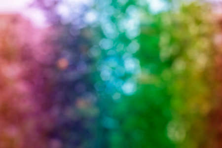 Photography of trees in the woods with bokeh effect. Abstract effect. With a color gradient.の写真素材