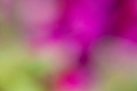Photography of a gradient color with bokeh effect. Abstract effect. Colorful effect.の写真素材