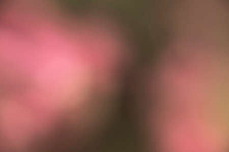 Photography of a gradient color with bokeh effect. Abstract effect. Colorful effect.の写真素材