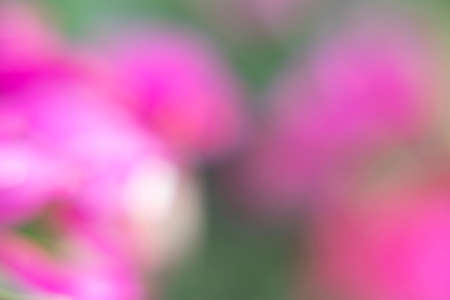 Photography of a gradient color with bokeh effect. Abstract effect. Colorful effect.の写真素材