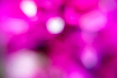Photography of a gradient color with bokeh effect. Abstract effect. Colorful effect.の写真素材