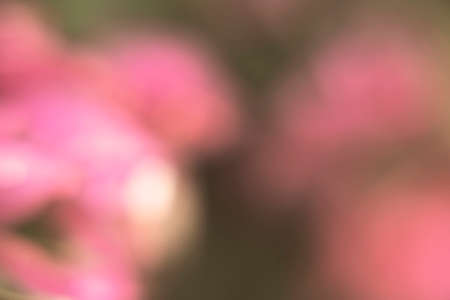 Photography of a gradient color with bokeh effect. Abstract effect. Colorful effect.の写真素材