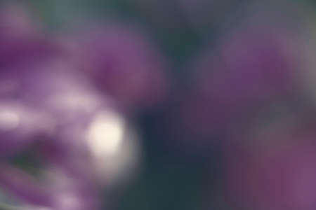 Photography of a gradient color with bokeh effect. Abstract effect. Colorful effect.の写真素材