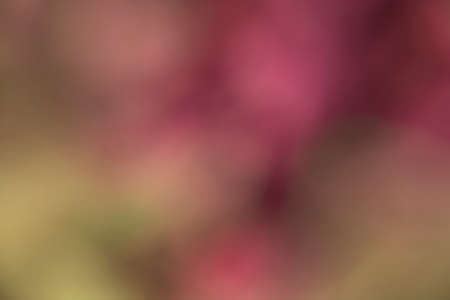 Photography of a gradient color with bokeh effect. Abstract effect. Colorful effect.の写真素材