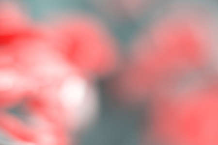 Photography of a gradient color with bokeh effect. Abstract effect. Colorful effect.の写真素材