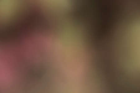 Photography of a gradient color with bokeh effect. Abstract effect. Colorful effect.の写真素材
