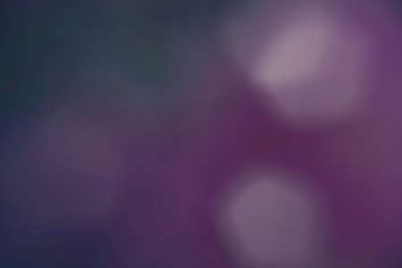 Photography of flowers in a garden with bokeh effect. Abstract effect. With a color gradient. Colorful effect.の写真素材