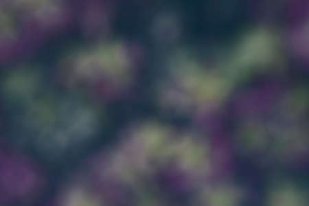 Photography of a bokeh effect background color with bokeh effect. Abstract effect. Colorful effect.