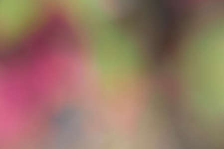 Photography of a gradient color with bokeh effect. Abstract effect. Colorful effect.の写真素材