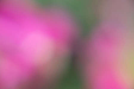Photography of a gradient color with bokeh effect. Abstract effect. Colorful effect.