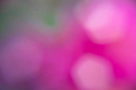 Photography of flowers in a garden with bokeh effect. Abstract effect. With a color gradient. Colorful effect.の写真素材