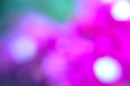 Photography of flowers in a garden with bokeh effect. Abstract effect. With a color gradient. Colorful effect.の写真素材