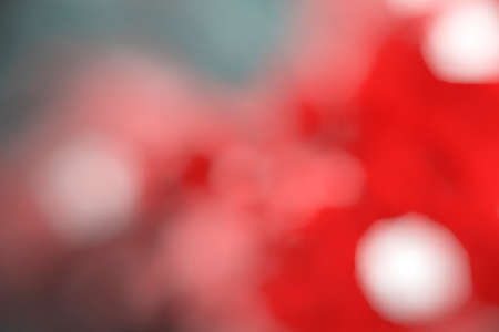 Photography of flowers in a garden with bokeh effect. Abstract effect. With a color gradient. Colorful effect.の写真素材