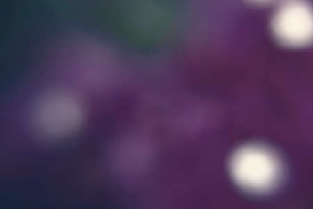 Photography of flowers in a garden with bokeh effect. Abstract effect. With a color gradient. Colorful effect.の写真素材