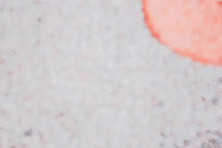 Photography of a gradient color with bokeh effect. Abstract effect. Colorful effect. blur effect