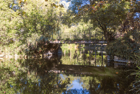 Bridge over a lake in the park Dom Carlos I in Caldas da Rainha Portugal, green vegetation.の写真素材