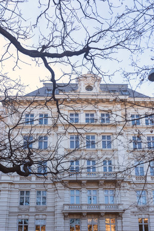 Photography of a beautiful building in the city of Vienna, Austria and tree branchesの写真素材