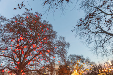 Tree decorated with lights in the shape of red hearts at the Christmas market in the town hall square in Vienna, Austriaの写真素材