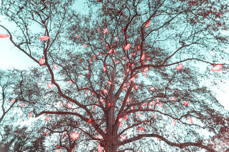 Tree decorated with lights in the shape of red hearts at the Christmas market in the town hall square in Vienna, Austriaの写真素材