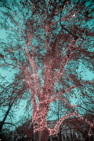 Detail of Tree decorated with christmas lights at the Christmas market on the town hall square in Vienna, Austriaの写真素材