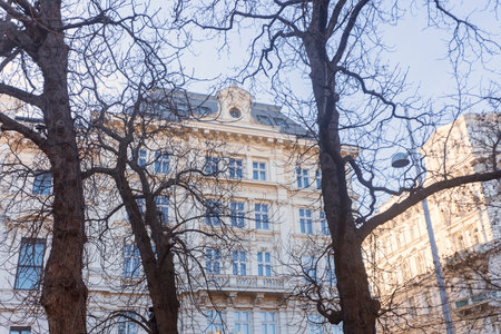 Photography of a beautiful building in the city of Vienna, Austria and tree branchesの写真素材