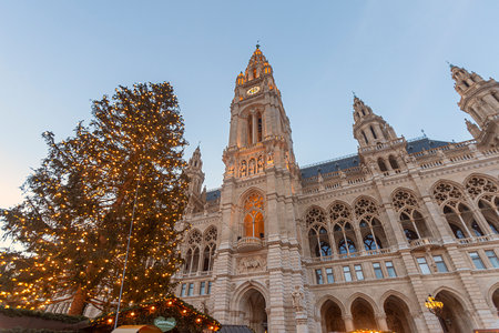 Image of the city hall building in Vienna, Austria and Christmas tree, at Christmas at nightの写真素材