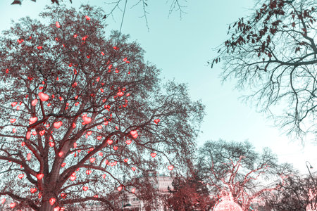 Tree decorated with lights in the shape of red hearts at the Christmas market in the town hall square in Vienna, Austriaの写真素材