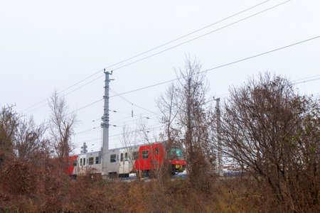 Train circulating in Vienna, Austria, on a path lined with trees. grey, white and red color trainの写真素材