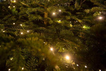 Detail of the lights of a Christmas tree in SchÃ¶nbrunn palace at nightの写真素材