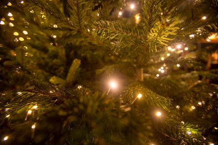 Detail of the lights of a Christmas tree in SchÃ¶nbrunn palace at nightの写真素材