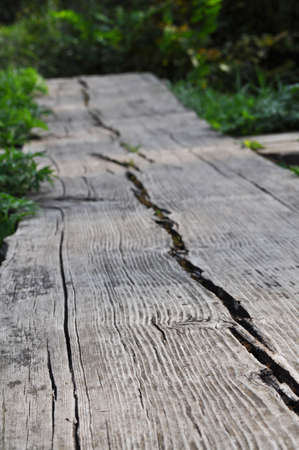 Wooden pathwayの写真素材