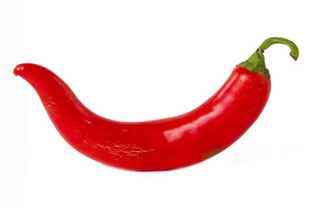 red chili pepper isolatedの写真素材