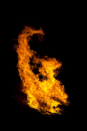 a bright bonfire shaped like a wild catの写真素材