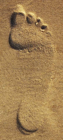 footprint in mideastern sea sandの写真素材