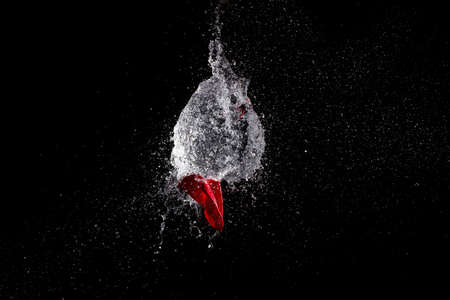 water balloon explosion is caught on cameraの写真素材