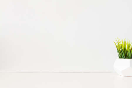 Green grass in a geometric pot. White empty wall.
