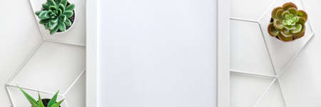 White desk. Top view mockup frame for text. Succulents metal geometric toolbox. Hipster creative...