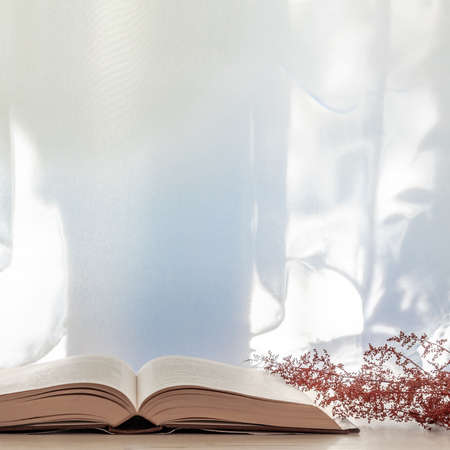 Photo of a desk with an open book and dried red grass on a background of sun-lit curtains. Copy spaceの写真素材