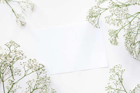 White background with a blank piece of paper surrounded by dried wild flowersの写真素材