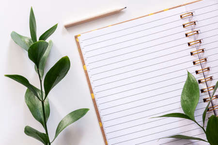 Empty lined notebook with green leaves and a wooden pencil on a white background seen from aboveの写真素材