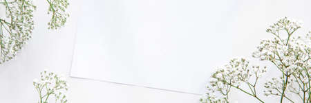 Panoramic photo of a white background with a piece of paper and dried field flowersの写真素材